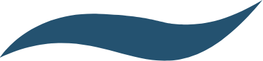 Icon of a wave (dark blue)